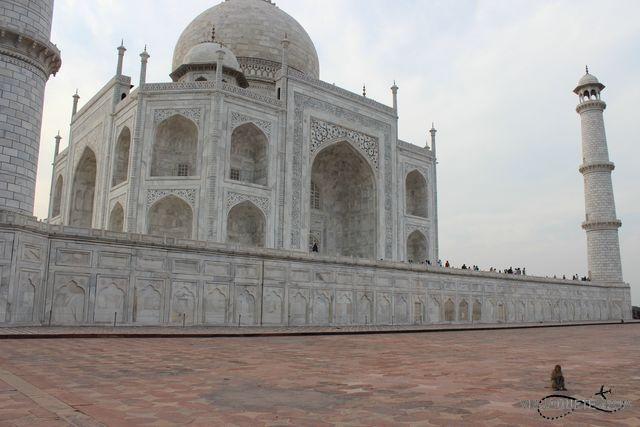 Taj Mahal 1