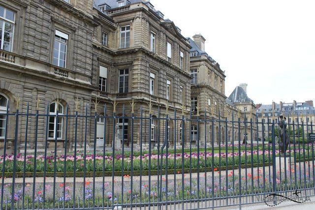 Notre Dame - centro de París 13