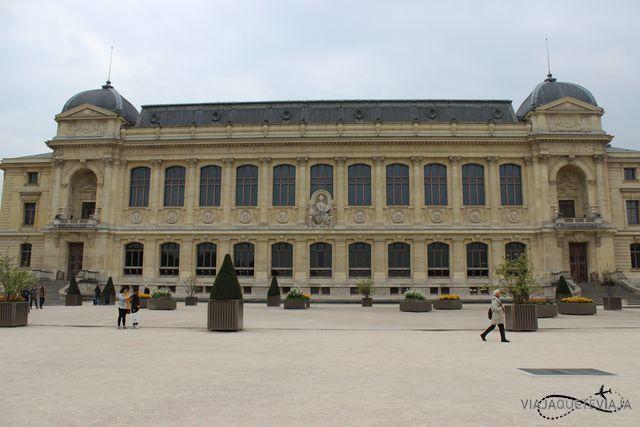 Notre Dame - centro de París 24